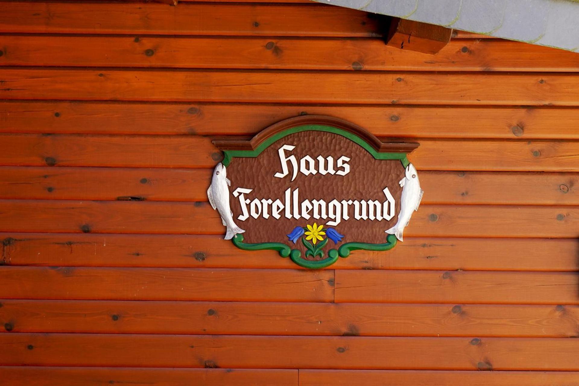 Ferienwohnungen Forellengrund Schierke Eksteriør bilde